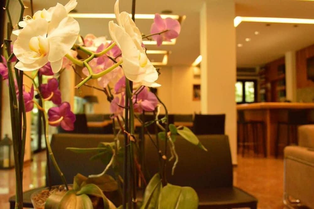 Alexakis Hotel & Spa 로우트라 이파티스 외부 사진