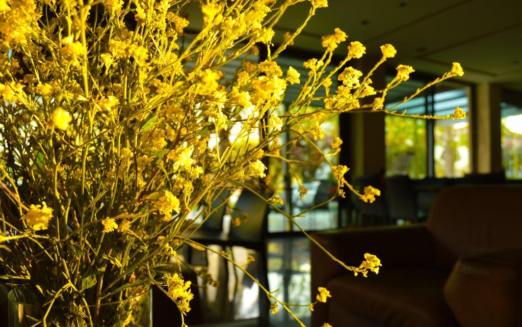 Alexakis Hotel & Spa 로우트라 이파티스 외부 사진