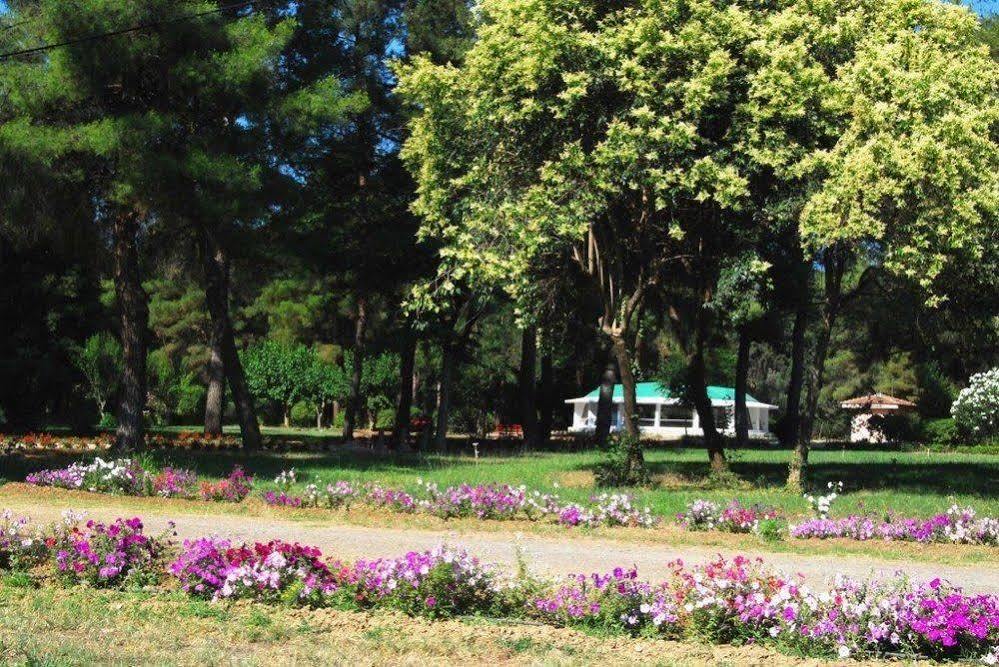 Alexakis Hotel & Spa 로우트라 이파티스 외부 사진